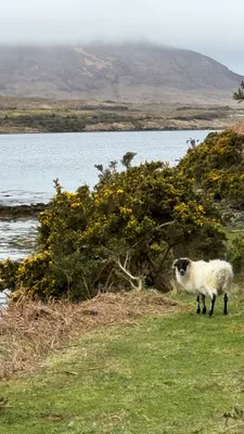 Ireland