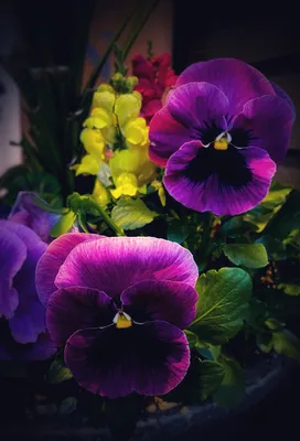 I love taking pictures of nature and other things.  Here are a few of my favorites over the years,